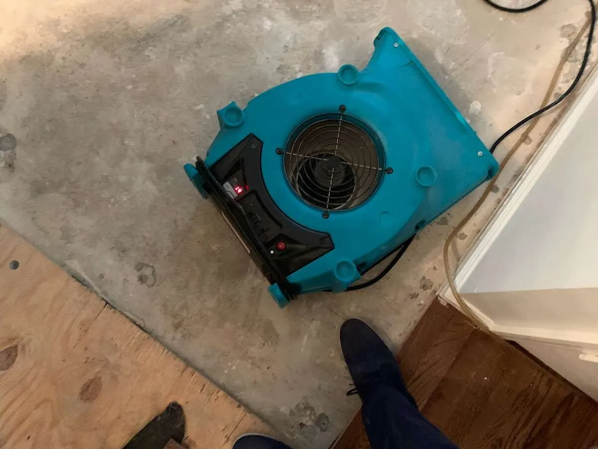 Air mover drying subfloor during Commercial Water Damage Restoration in Plattekill